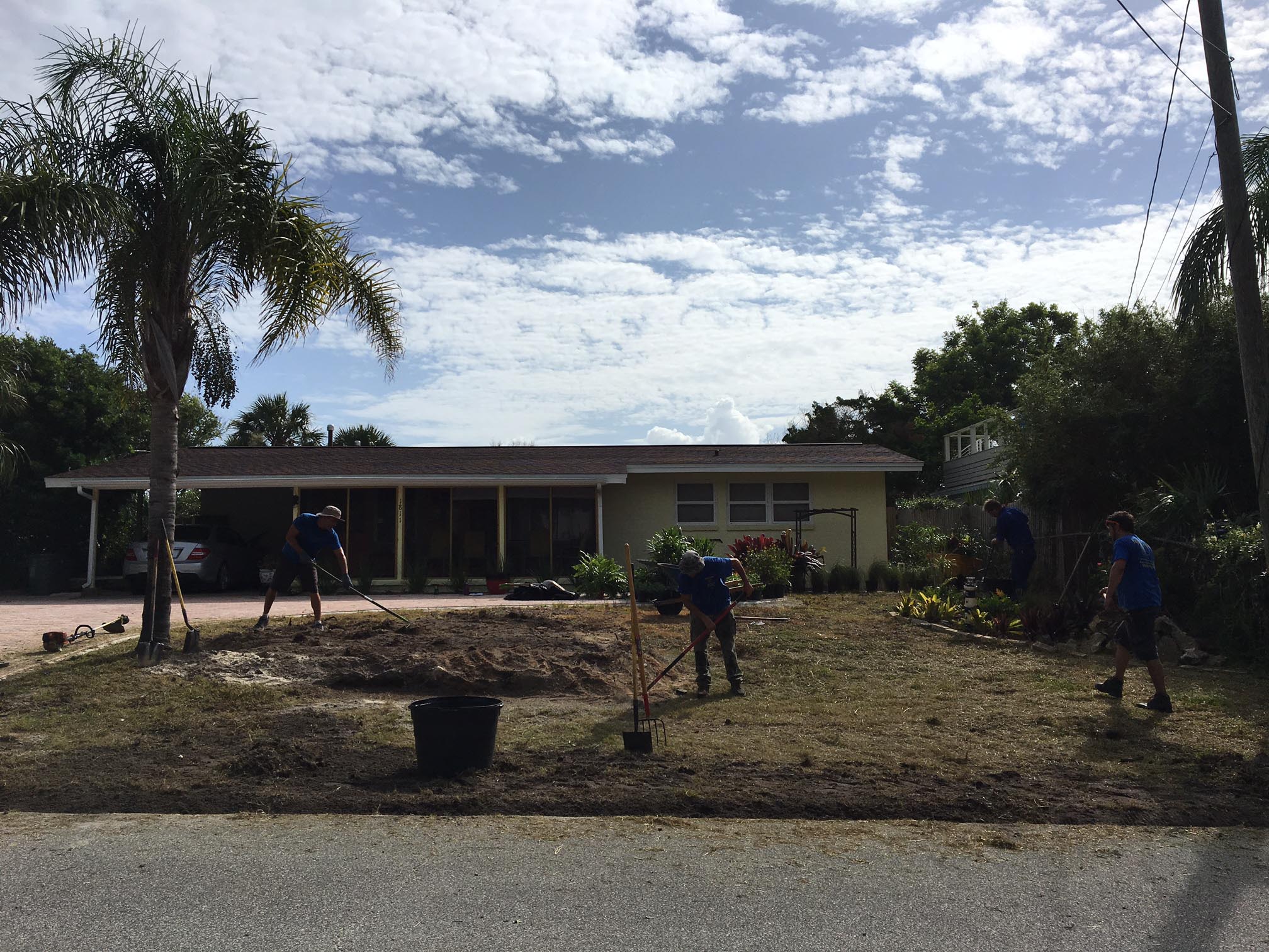 Beachside Gardens, LLC - Cowheard Before