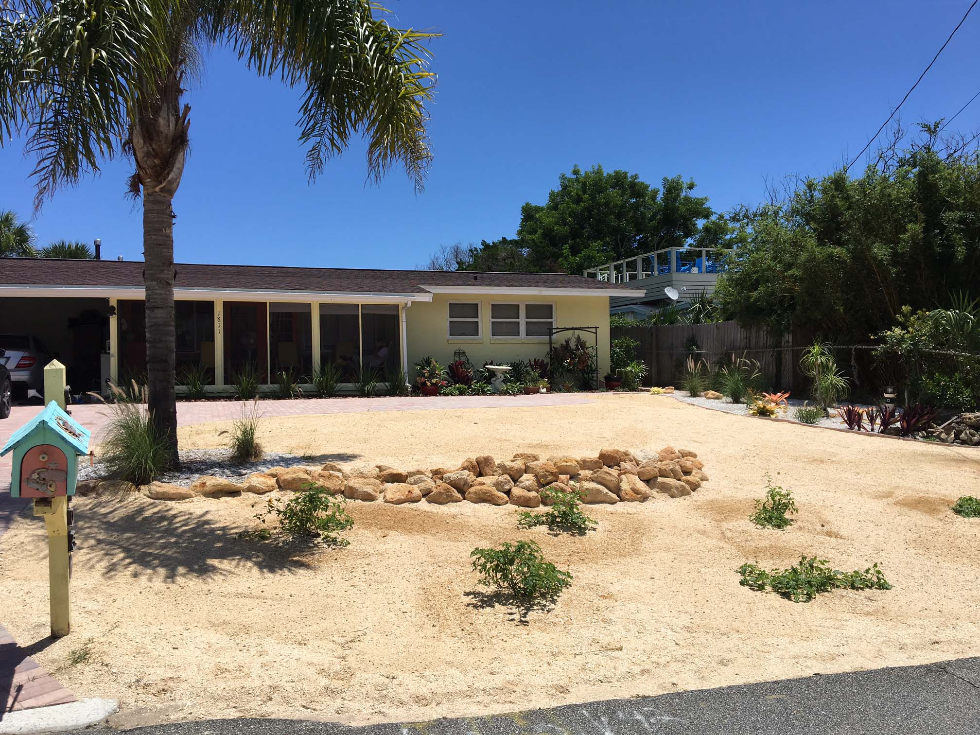 Beachside Gardens, LLC - Cowheard After