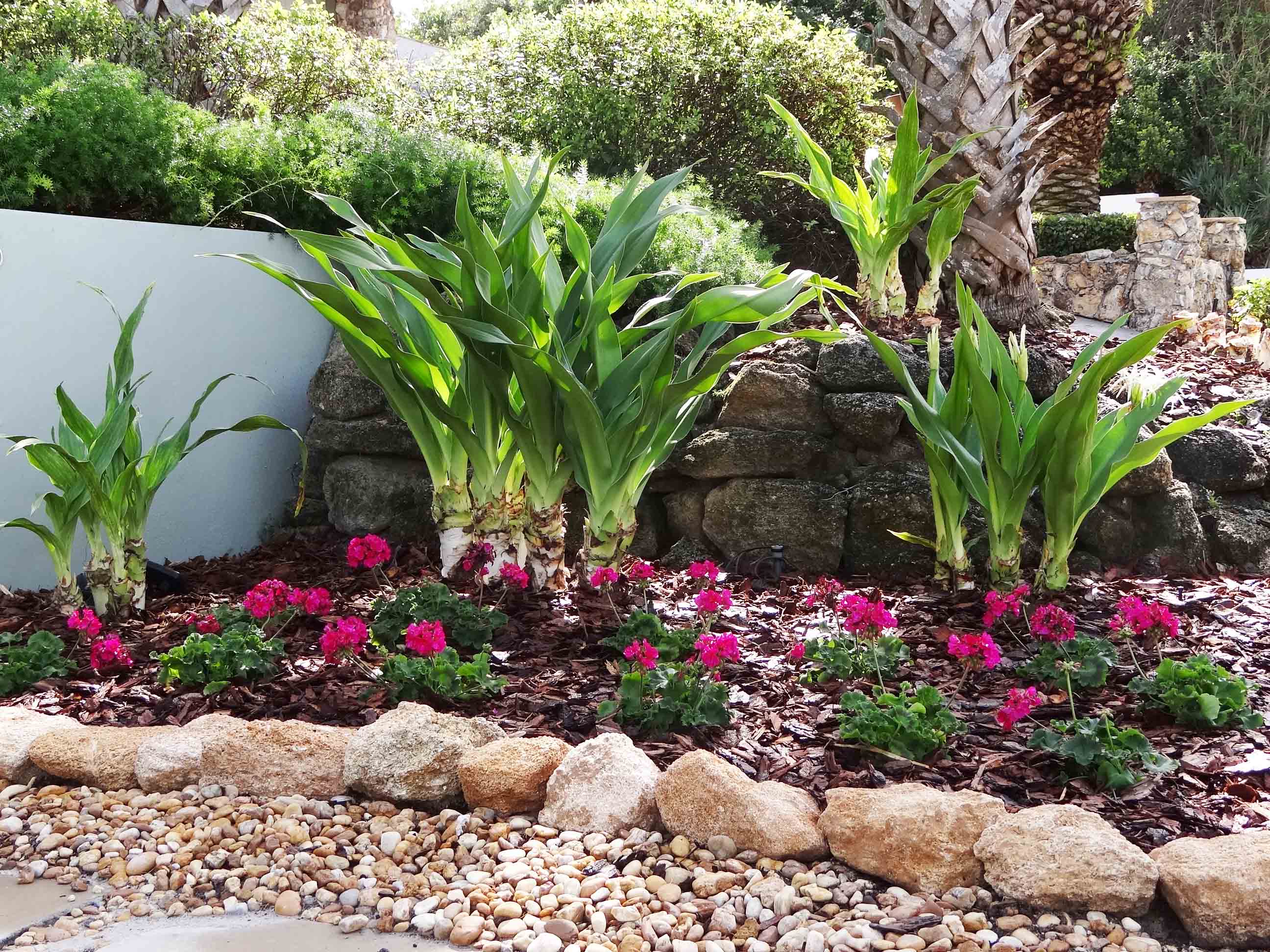 Beachside Gardens, LLC - COQUINA EDGING WITH RIVER ROCK