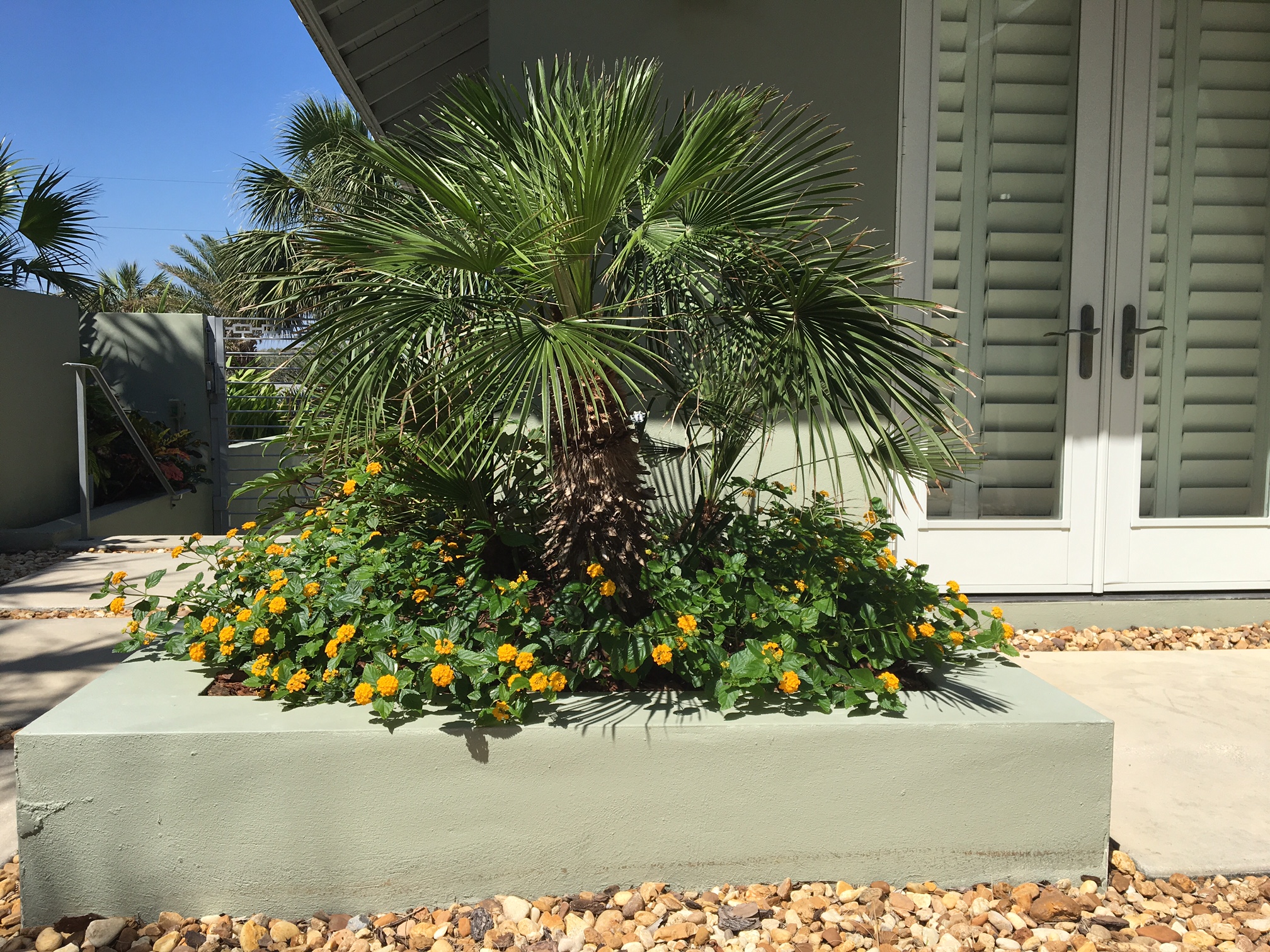 Beachside Gardens, LLC - FLOWERS