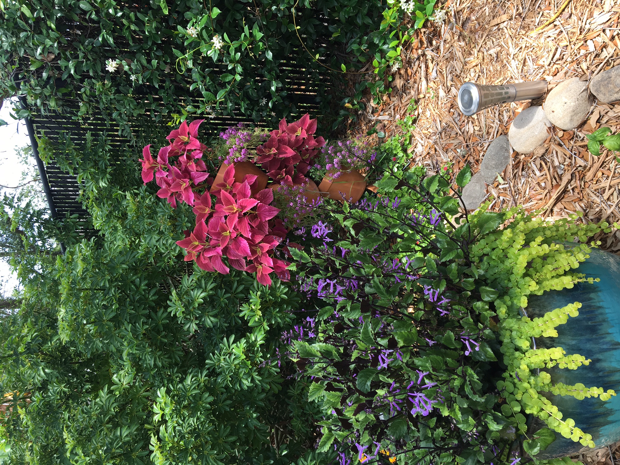 Beachside Gardens, LLC - GARDEN