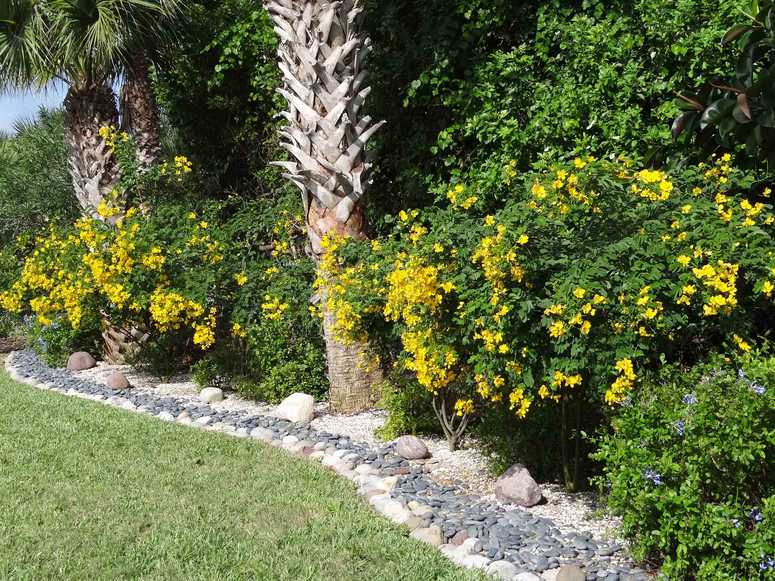Beachside Gardens, LLC - ROCK BED