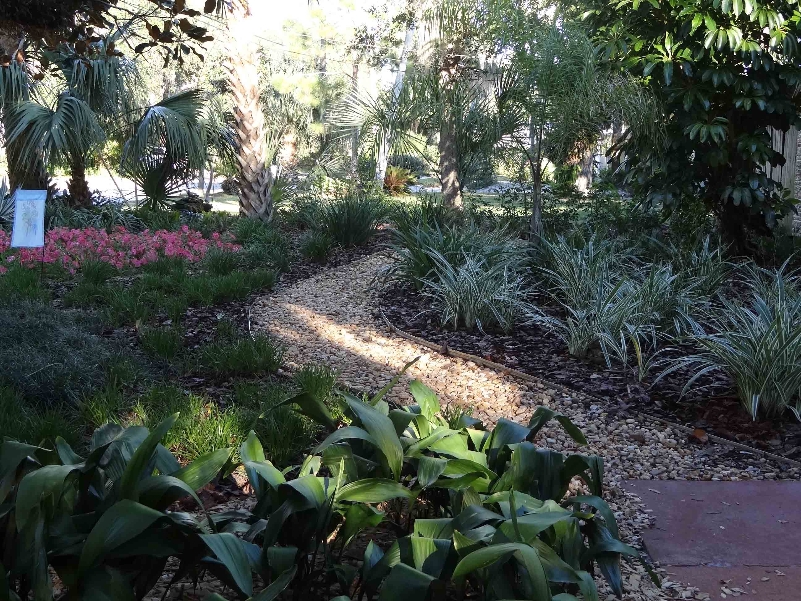 Beachside Gardens, LLC - SHADE TOLERANT LANDSCAPE